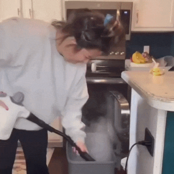 PureVapor® 239°F Clinical Sanitization